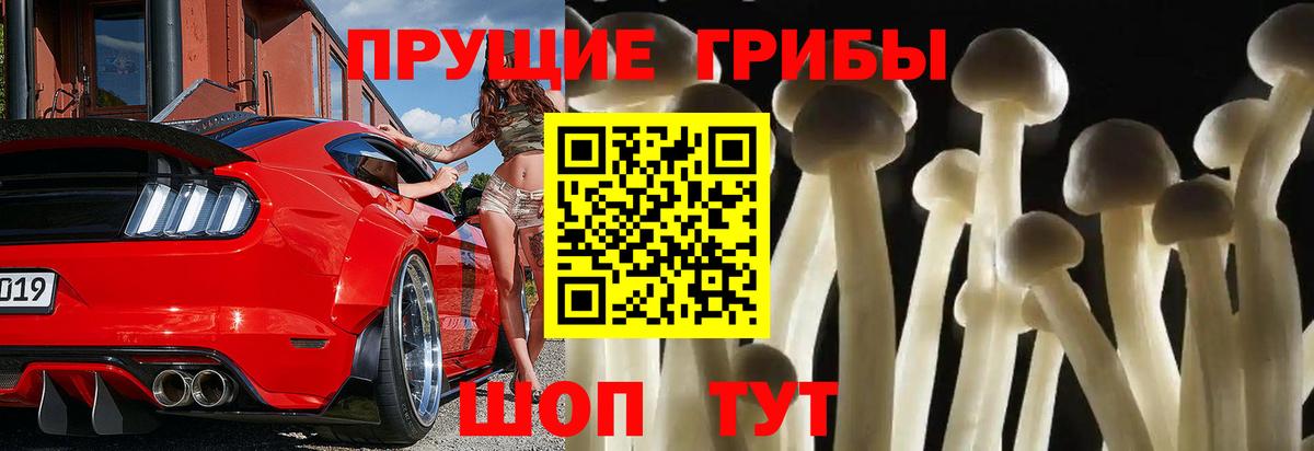 Галлюциногенные грибы GOLDEN TEACHER Верхняя Пышма